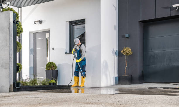 Best Gutter Cleaning  in Waterman, IL